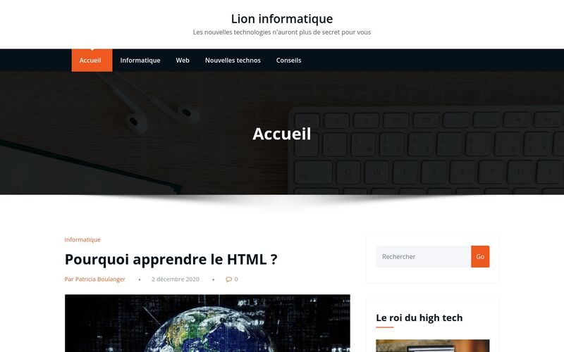 Lion informatique - Les nouvelles technologies n'auront plus de secret pour vous